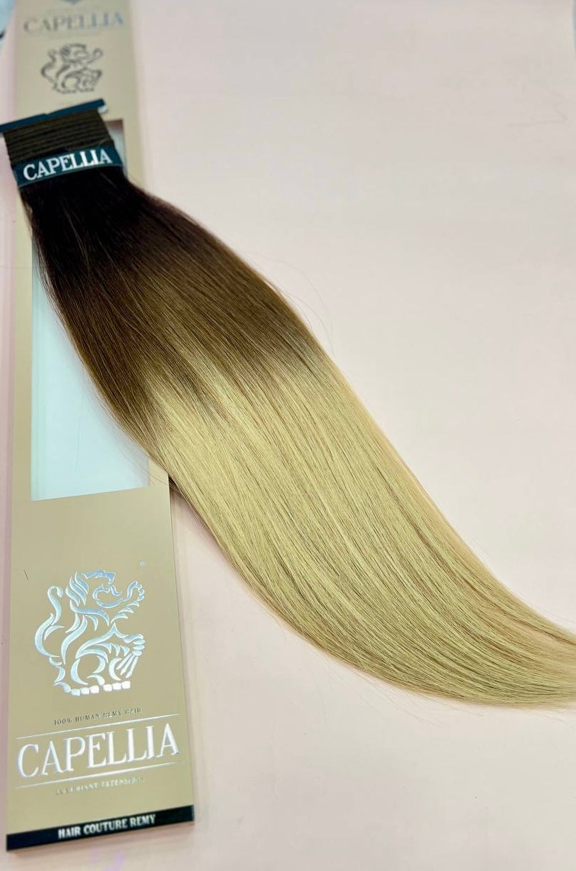 Capellia 22” #2/6/16