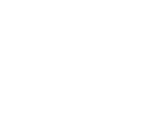 extensioneslei