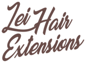 extensioneslei